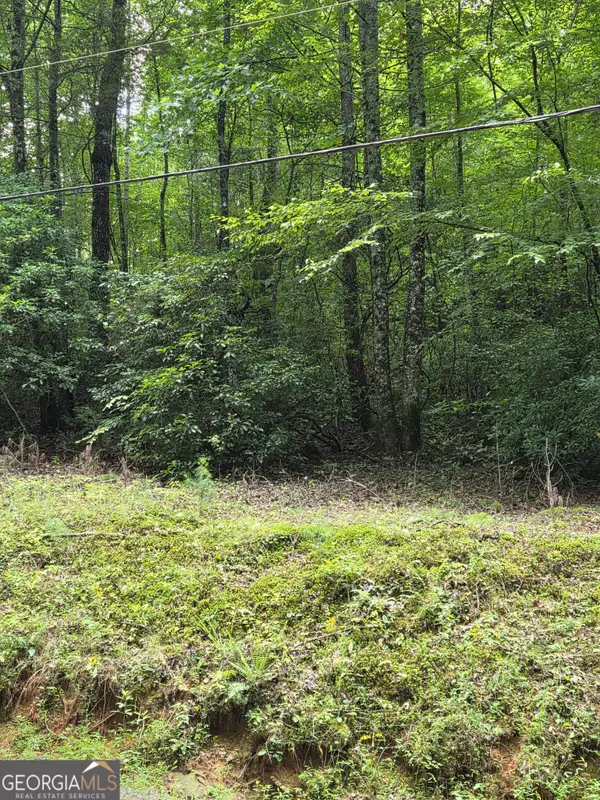 00 Chopped Oak, Ellijay, GA 30540