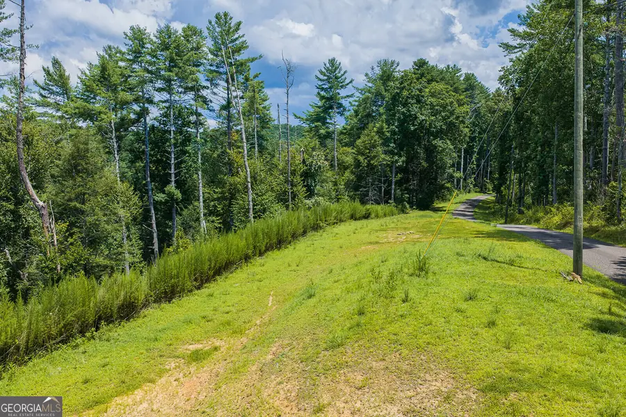 TRACT C Hicks Ford Road, Ellijay, GA 30540 - #3