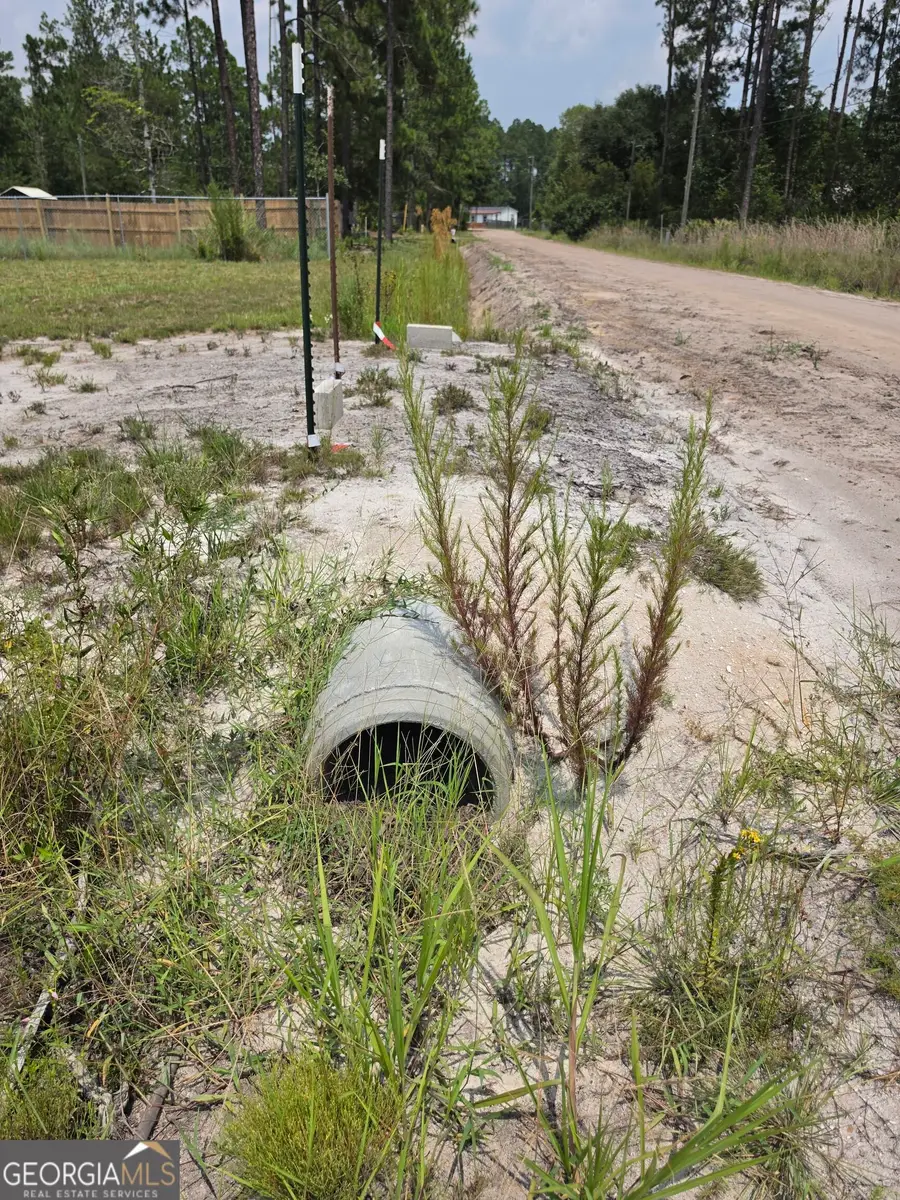 1.37 AC Bill Wells Road Ne, Ludowici, GA 31316 - #3
