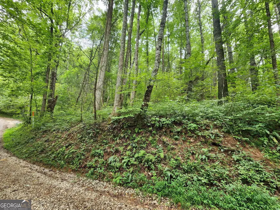 TRACT 2B Poplar Cove Trail, Suches, GA 30572 - #2