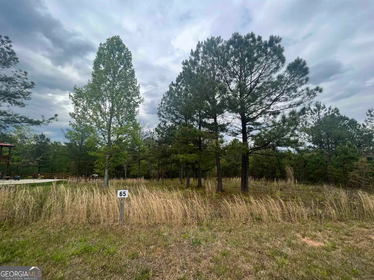 LOT 65 Village Loop, Blairsville, GA 30512 - #1