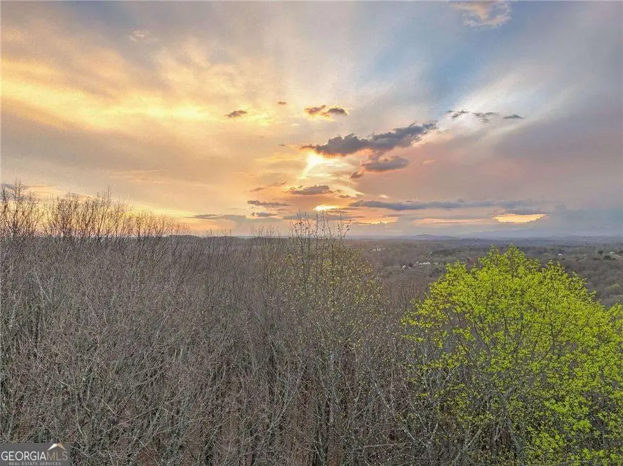 LOT 3 Mount Mincie Road, Murrayville, GA 30564 - #3