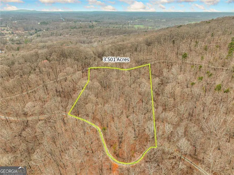 LOT 5 Mount Mincie Road, Murrayville, GA 30564 - #3