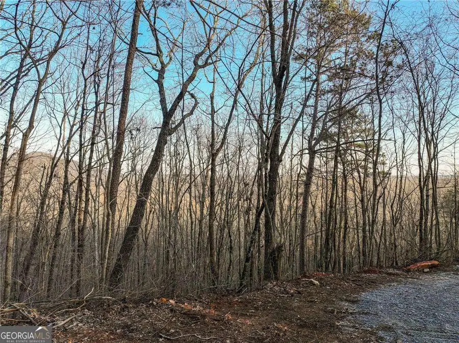 LOT 7 Mount Mincie Road, Murrayville, GA 30564 - #2