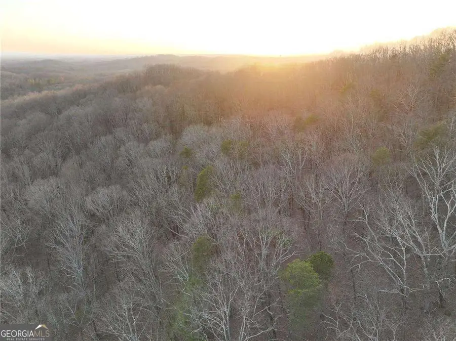 LOT 7 Mount Mincie Road, Murrayville, GA 30564 - #3