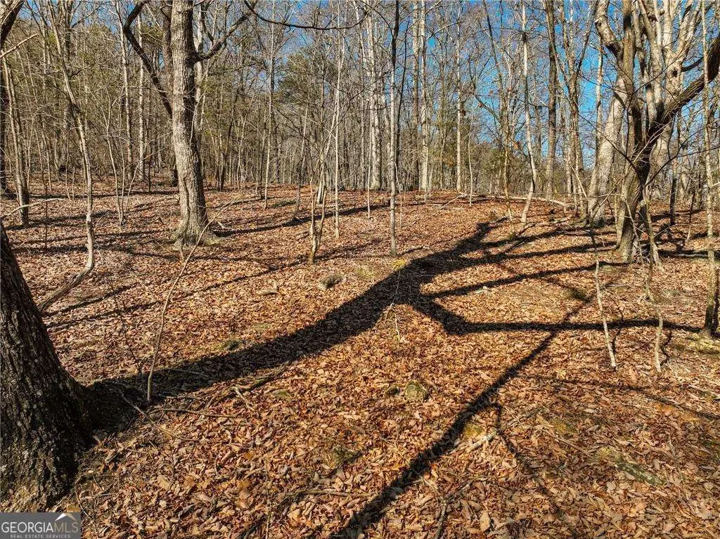LOT 8 Mount Mincie Road, Murrayville, GA 30564 - #1