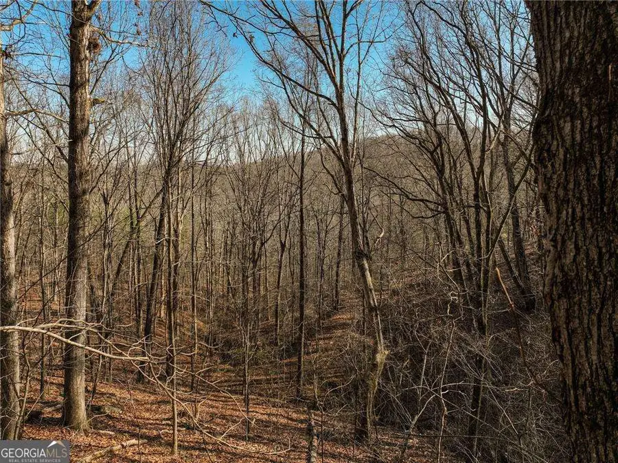 LOT 10 Mount Mincie Road, Murrayville, GA 30564 - #2