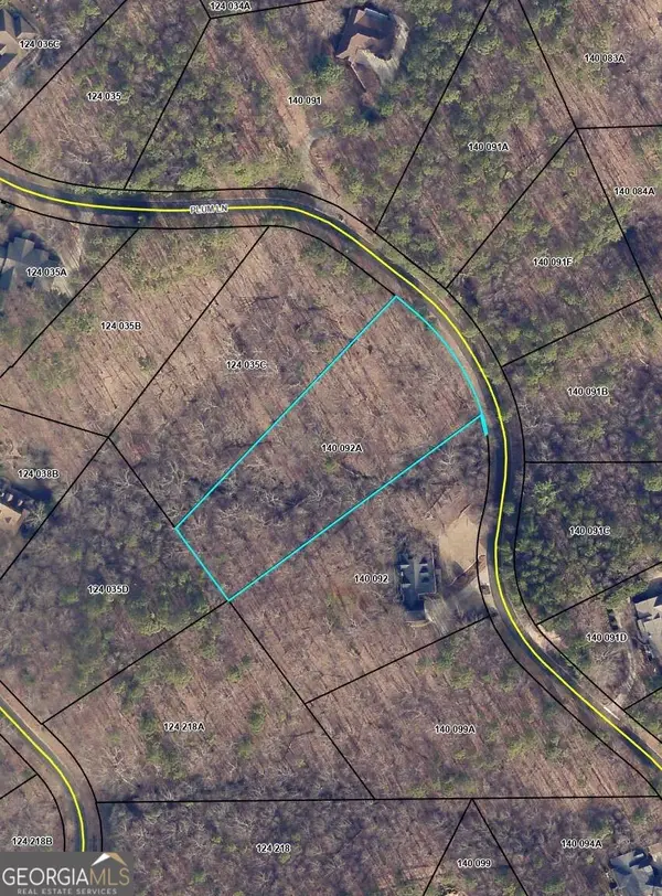 736 Plum Lane, Clarkesville, GA 30523
