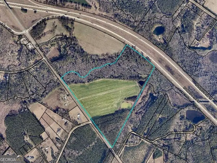 78.35 ACRES Highway 67, Brooklet, GA 30415 - #1