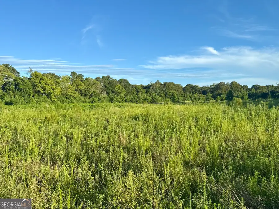 0 Hwy 62, Blakely, GA 39823 - #2