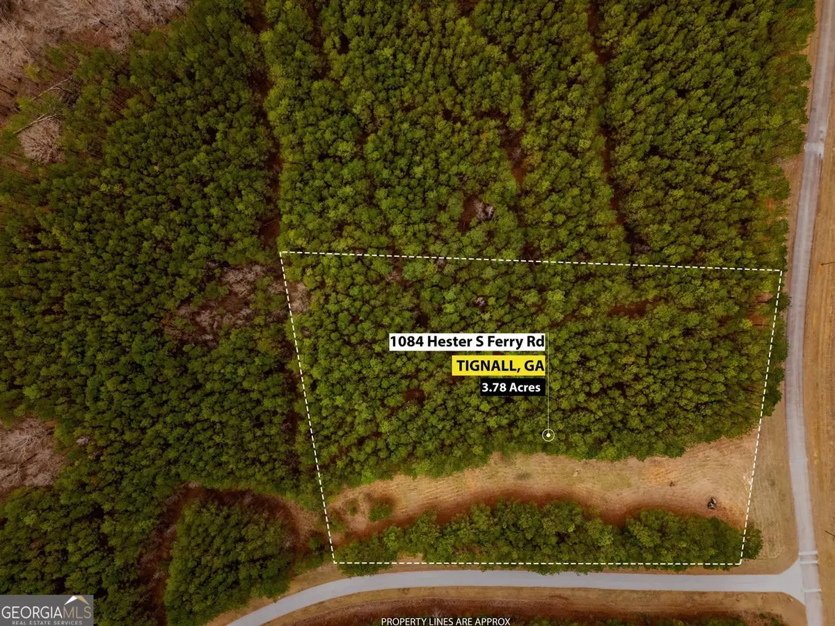 1084 Hesters Ferry Road, Tignall, GA 30668 - #1