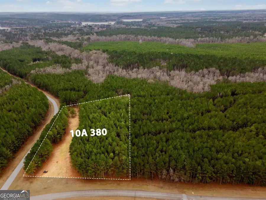 1084 Hesters Ferry Road, Tignall, GA 30668 - #2