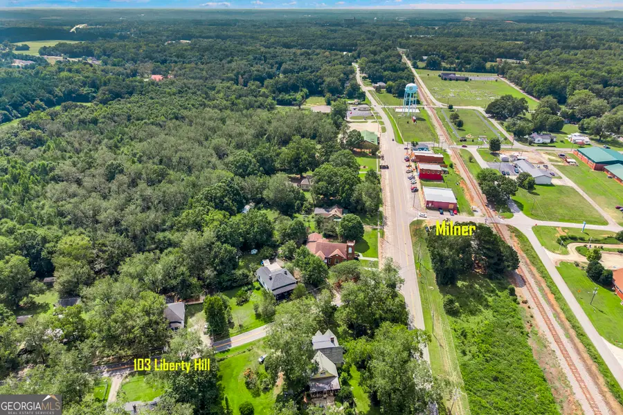 103 Liberty Hill Street, Milner, GA 30257 - #3