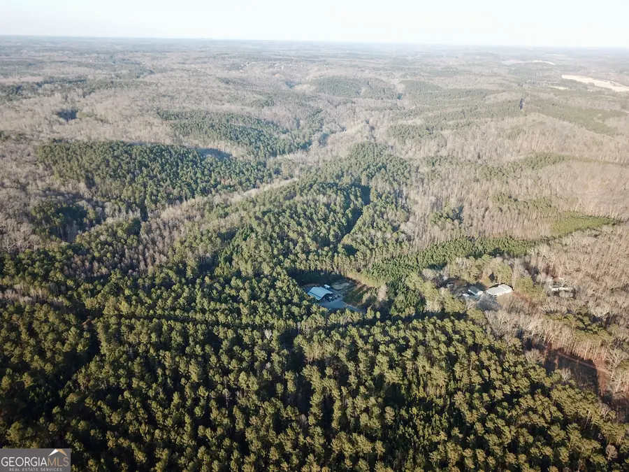0 - TRACT 3 Mt Zion Church Road, Whitesburg, GA 30185 - #2