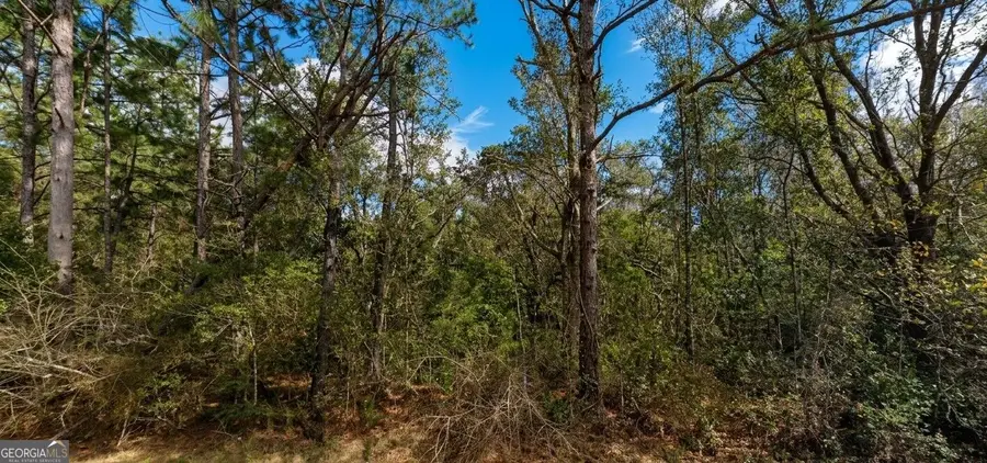 0 Pollard Road #LOT A, Daphne, AL 36526 - #3