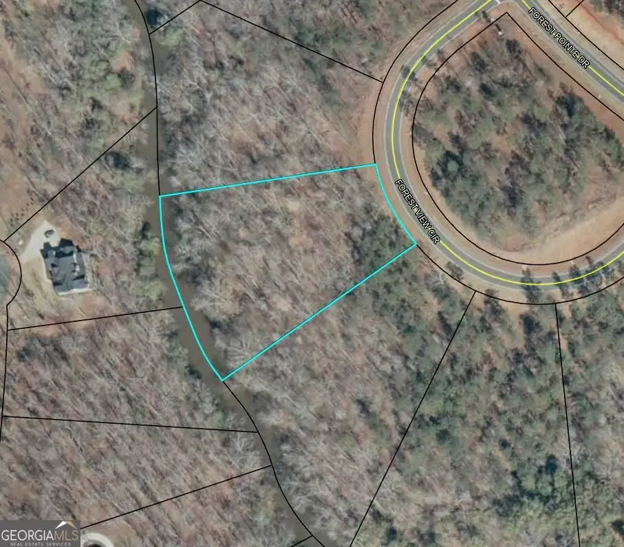 109 Forest View Circle, Forsyth, GA 31029 - #1