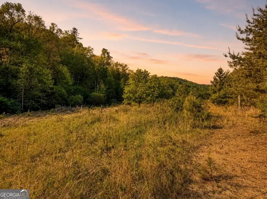40 AC #1 Valley Lake Road #MULTIPLE, Mineral Bluff, GA 30559 - #2