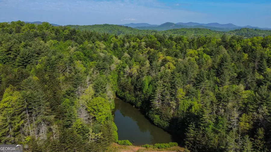 40 AC #1 Valley Lake Road #MULTIPLE, Mineral Bluff, GA 30559 - #3