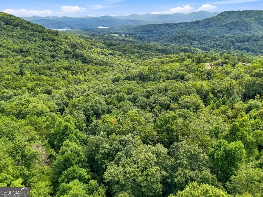 LT 27 Deer Crest Road #27, Blue Ridge, GA 30513 - #2