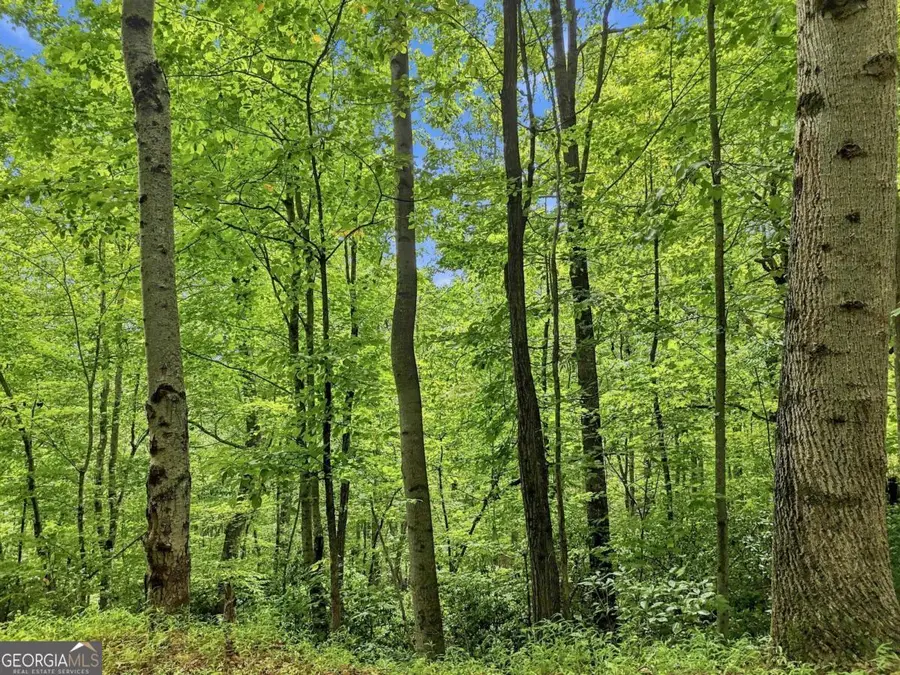 LT 27 Deer Crest Road #27, Blue Ridge, GA 30513 - #3