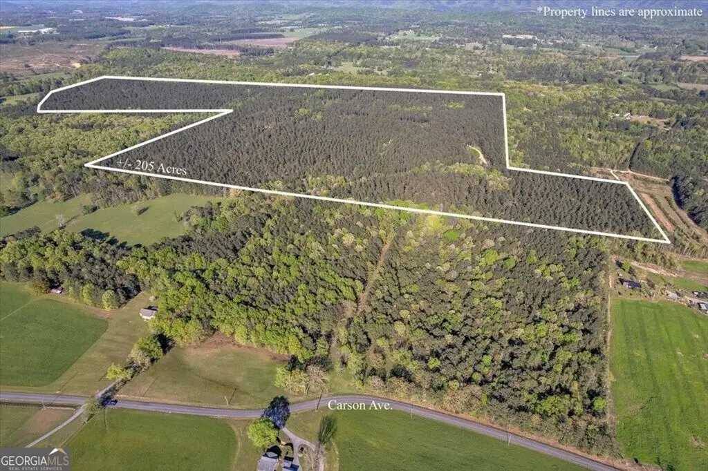 205+ AC Maddron Road, Crandall, GA 30711 - #1