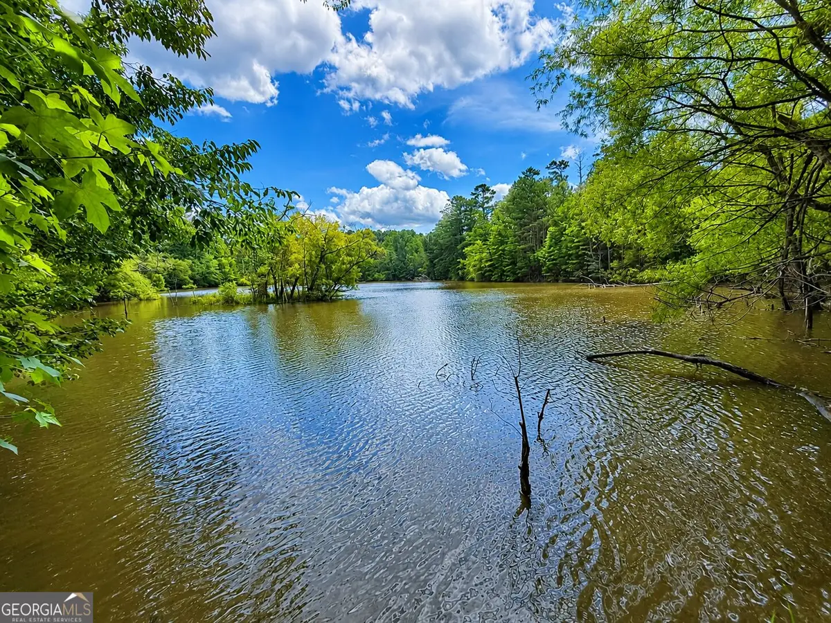 285 ACRES River Road, Fortson, GA 31808 - #1
