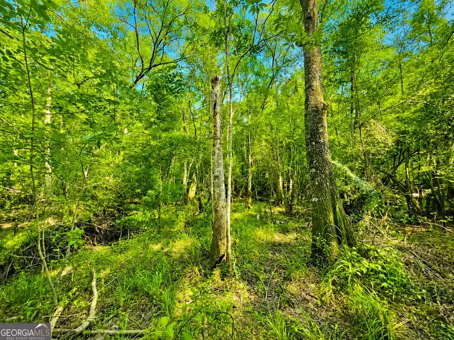 00 Herrin Lake, Nahunta, GA 31553 - #2