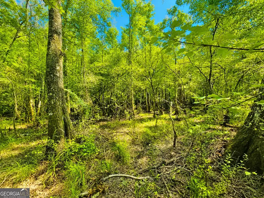 00 Herrin Lake, Nahunta, GA 31553 - #3
