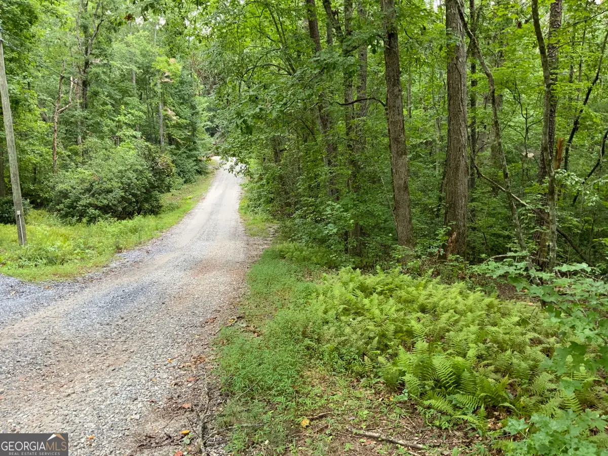0 Skylake And Wheeler Ridge Road, Sautee Nacoochee, GA 30571 - #1