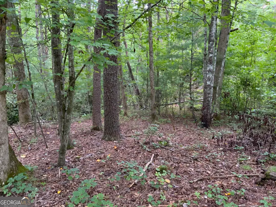 0 Skylake And Wheeler Ridge Road, Sautee Nacoochee, GA 30571 - #2