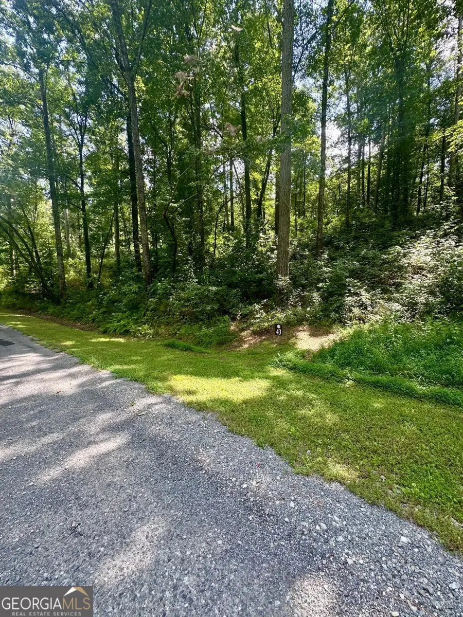 LT 43 Hilton Drive, Ellijay, GA 30540 - #2