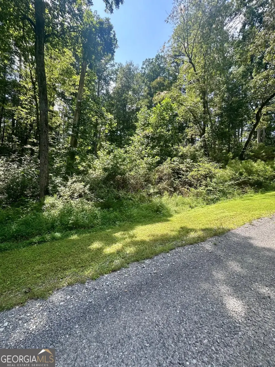 LT 43 Hilton Drive, Ellijay, GA 30540 - #3