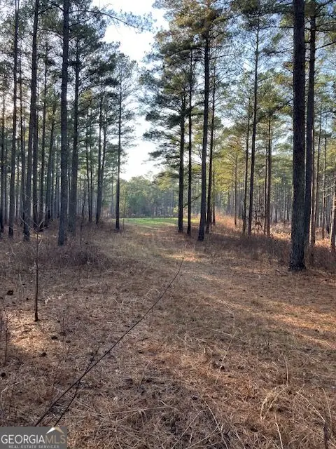 352 Woodville Philomath Road, Rayle, GA 30660
