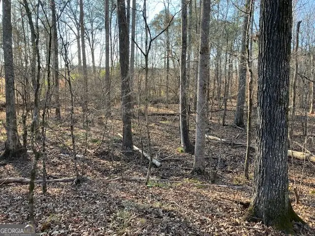 352 Woodville Philomath Road, Rayle, GA 30660 - #3