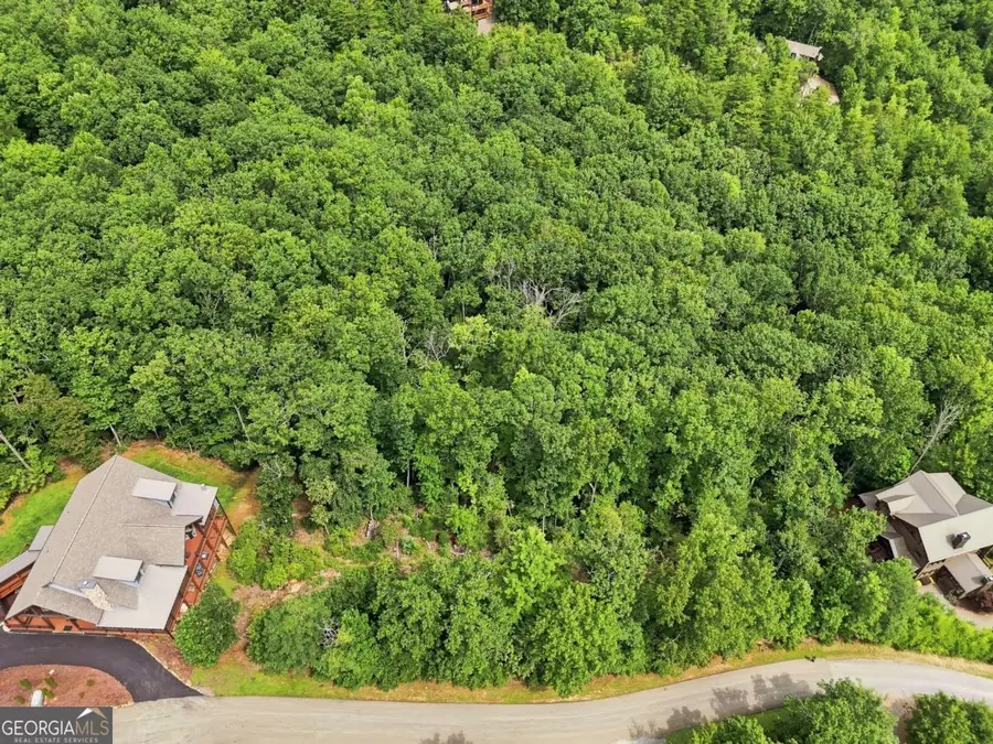 0 Deer Crest Road #22, Blue Ridge, GA 30513 - #2