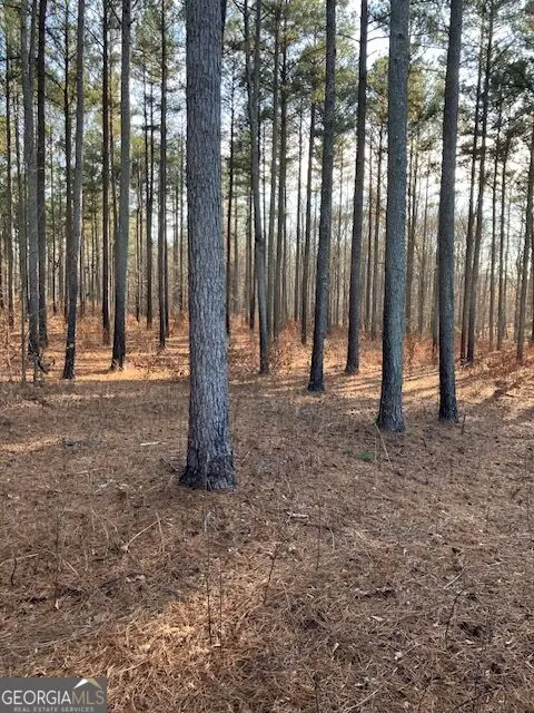 280 Woodville Philomath Road, Rayle, GA 30660