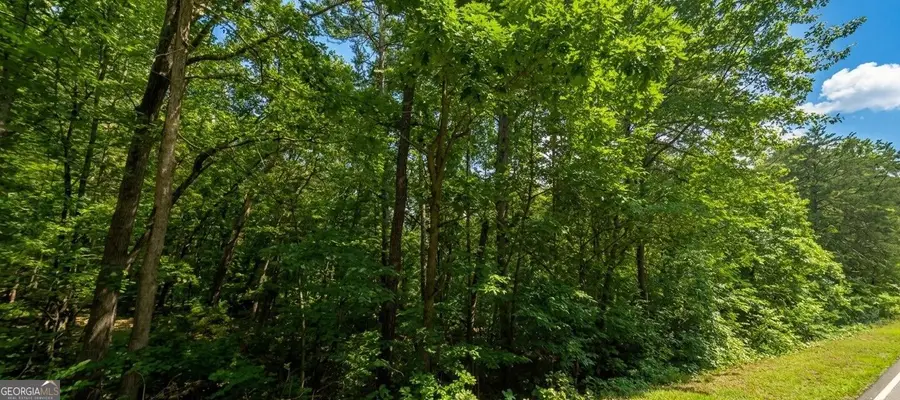 0 Ridgemore Circle #LOT 12 AND 8A, Toccoa, GA 30577 - #3
