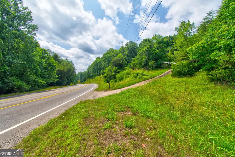 6439 S Chestatee Street, Dahlonega, GA 30533 - #3
