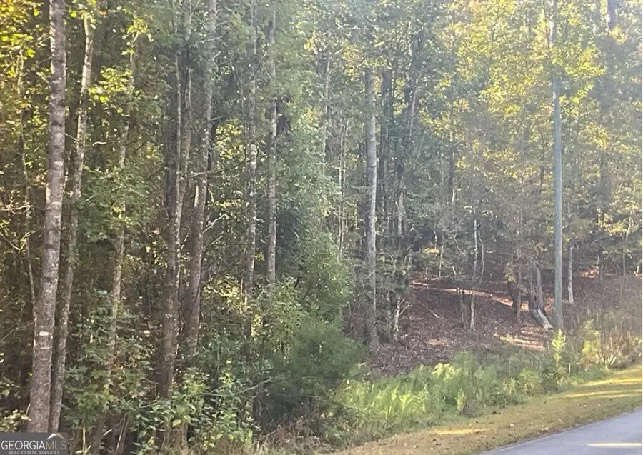 LOT 161 Jamesway Drive, Sparta, GA 31087 - #2