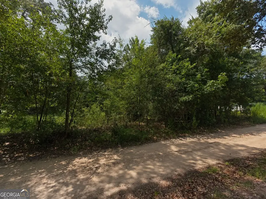 00 Second Avenue, Waynesville, GA 31566 - #2