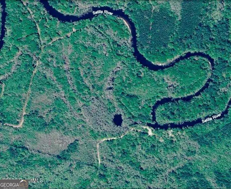 75+/- ACRES Lewis Landing, Nahunta, GA 31553 - #1