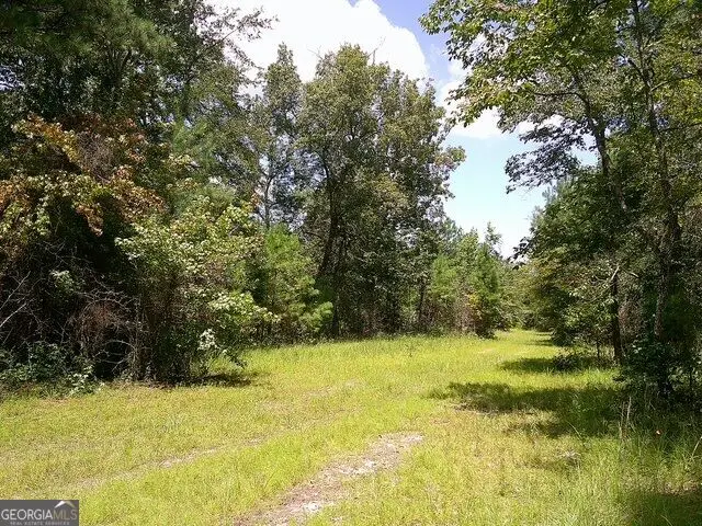 0 Highway 221 S, Kite, GA 31049 - #3