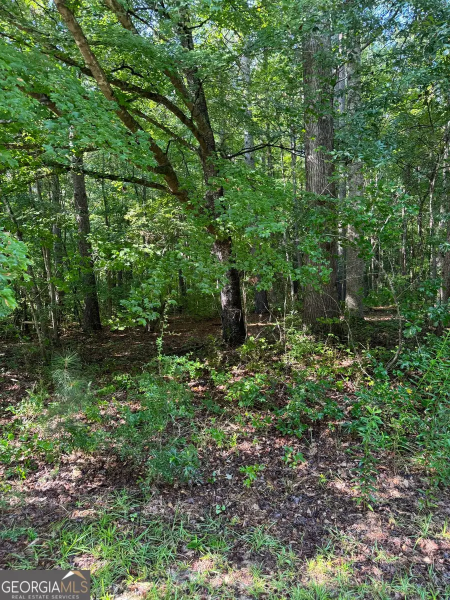 89 Trellis Court, Carrollton, GA 30116 - #2