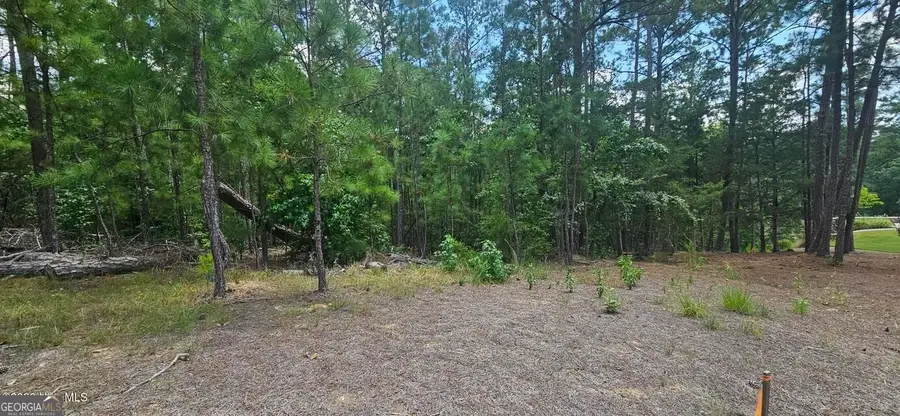 LOT 2 Amelia Dr, McCormick, SC 29835 - #2
