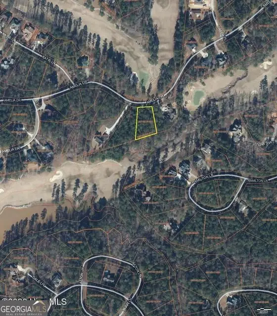 LOT 2 Amelia Dr, McCormick, SC 29835 - #3