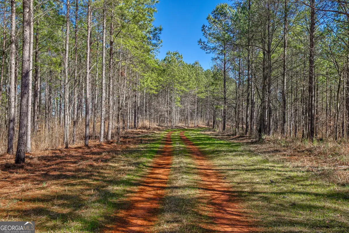 T1-2 Old Zebulon Road, Forsyth, GA 31029 - #1