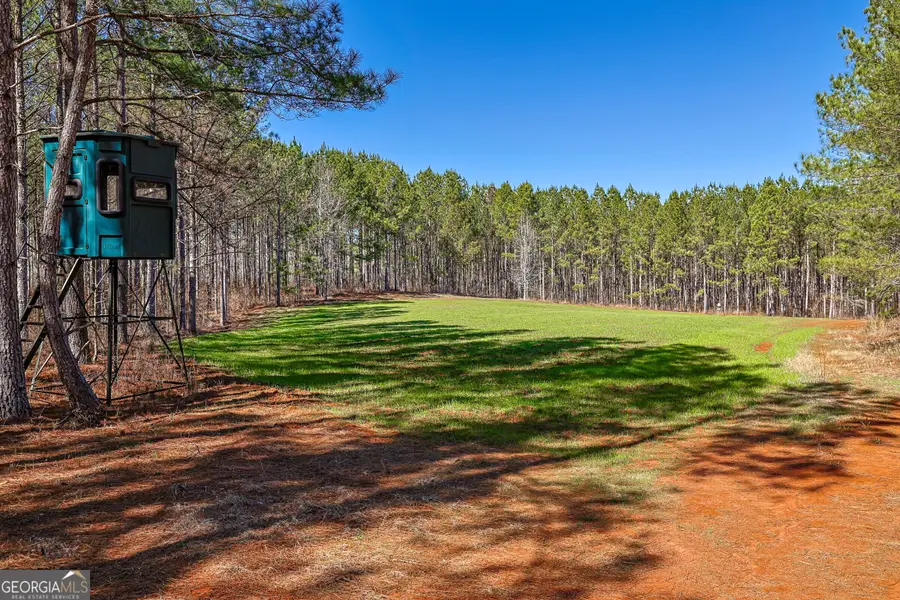 T1-2 Old Zebulon Road, Forsyth, GA 31029 - #2
