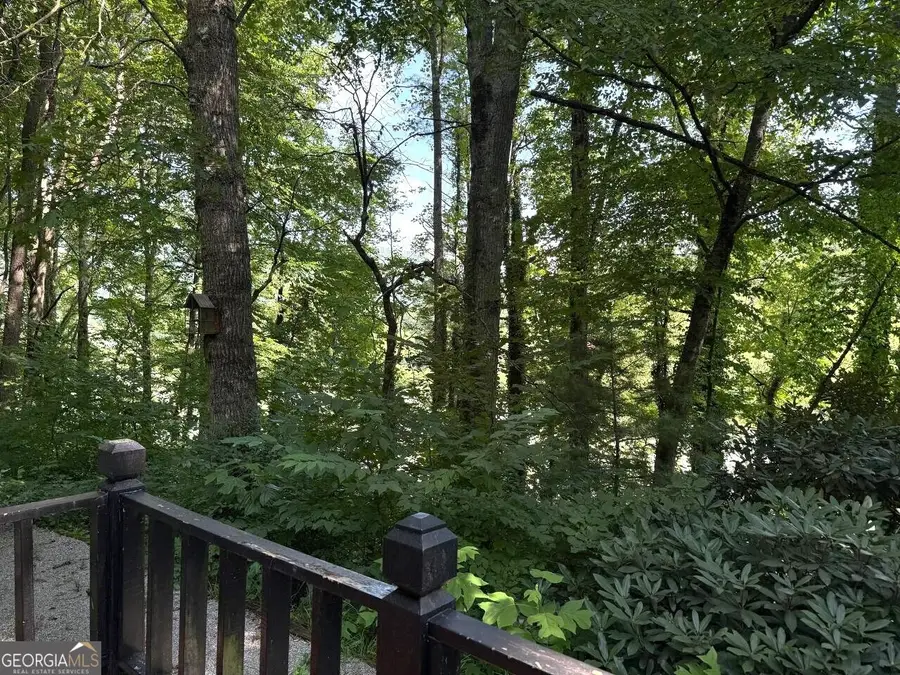 398 Taylors Chapel Road, Rabun Gap, GA 30568 - #2