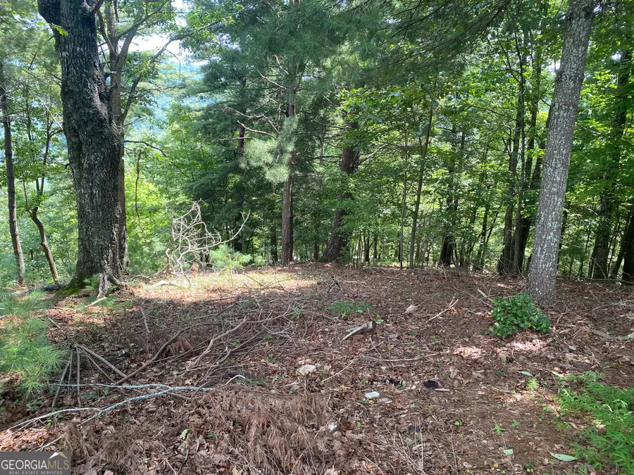 LOT 29 Lake Rabun Bluffs Drive, Lakemont, GA 30552 - #3