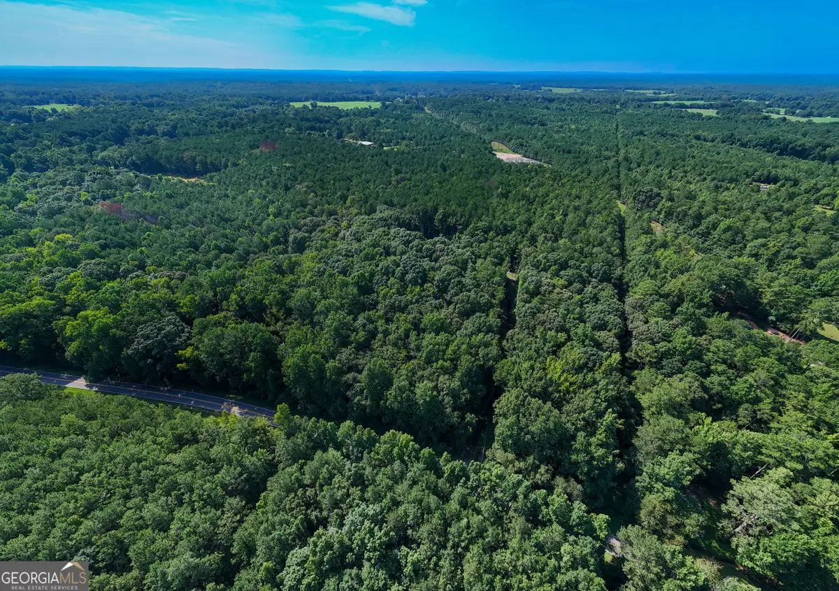 0 Hunt Road #1, Lagrange, GA 30241 - #1